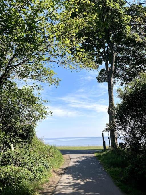 'The Studio' Designer, Seaside Cottage Crawfordsburn Buitenkant foto